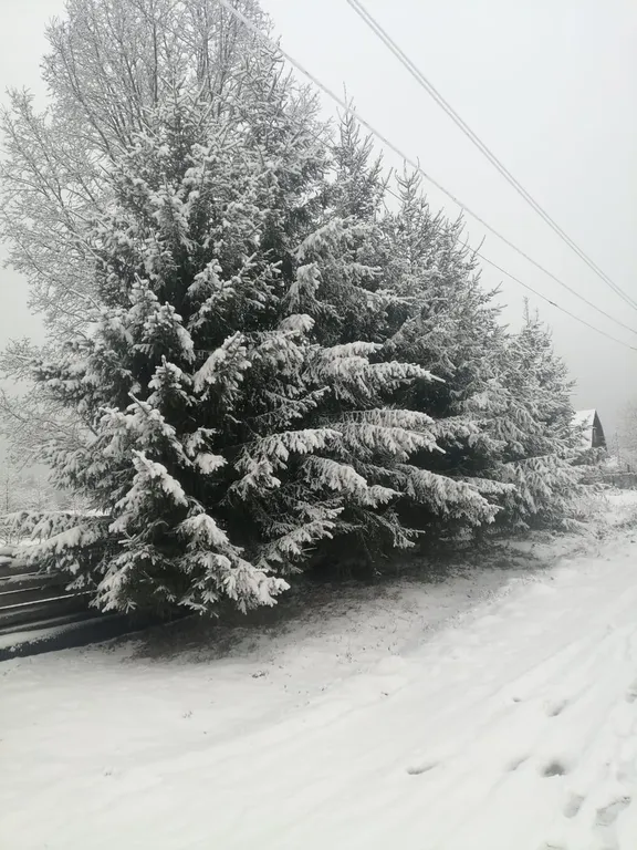 Домик в деревне