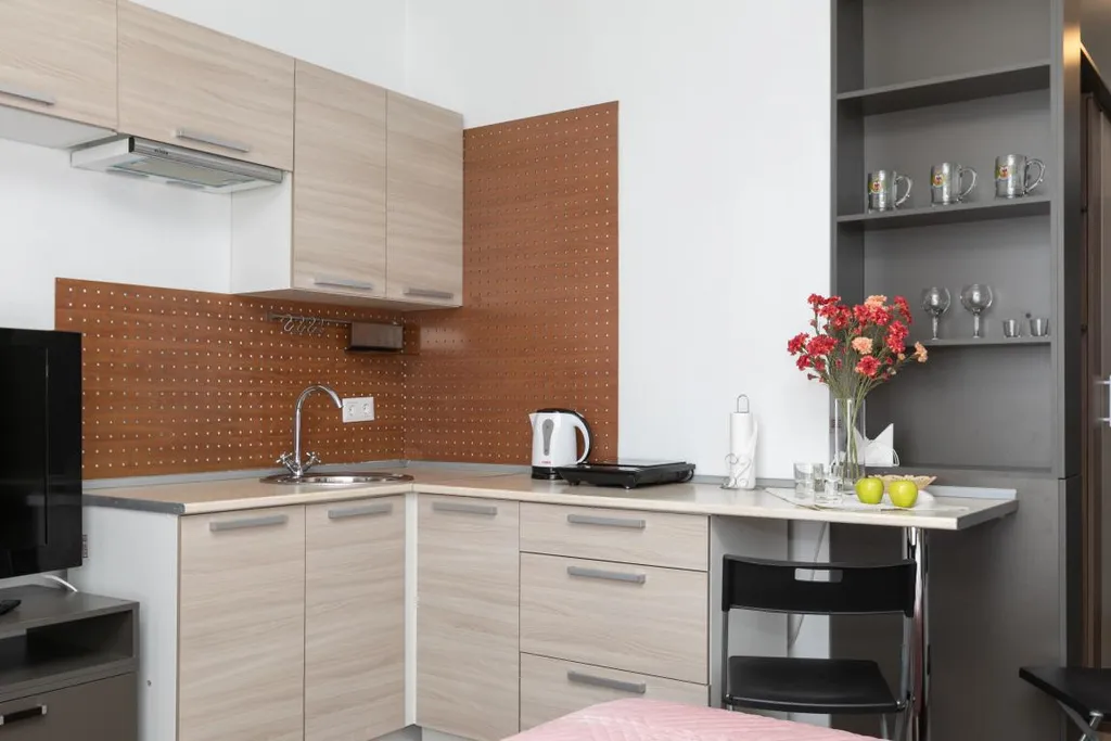 Уютный апартамент в самом центре у метро Площадь 1905 года