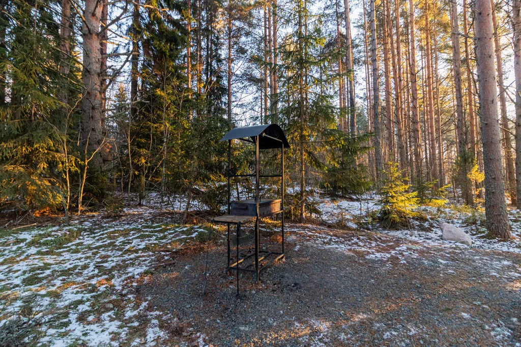 Идеальный купол для двоих