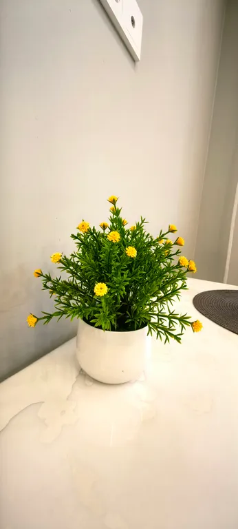 Уютная квартира-студия в центре города