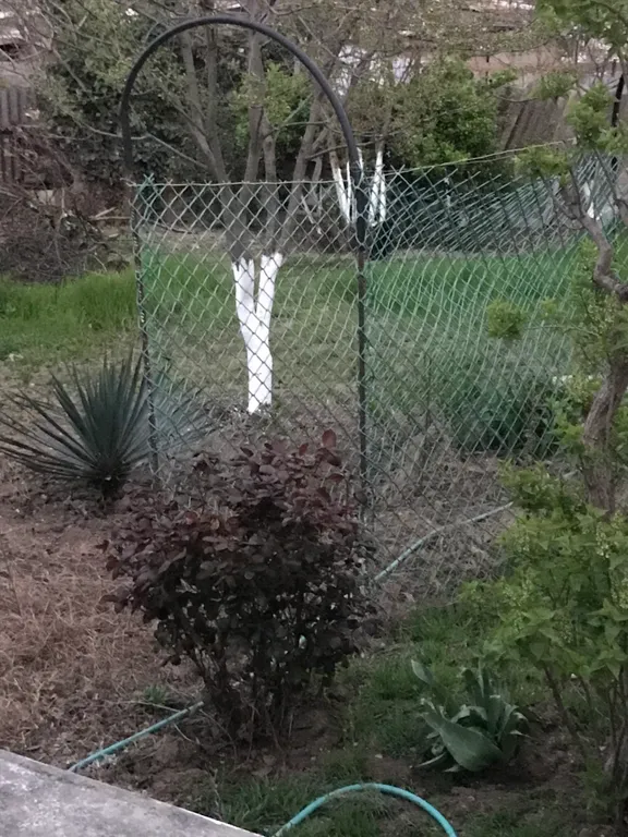 Уютный дом, 10 минут ходьбы до моря