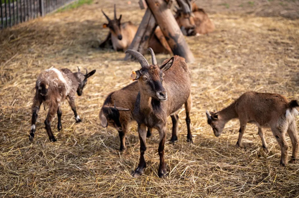 Дом Счастье Здесь