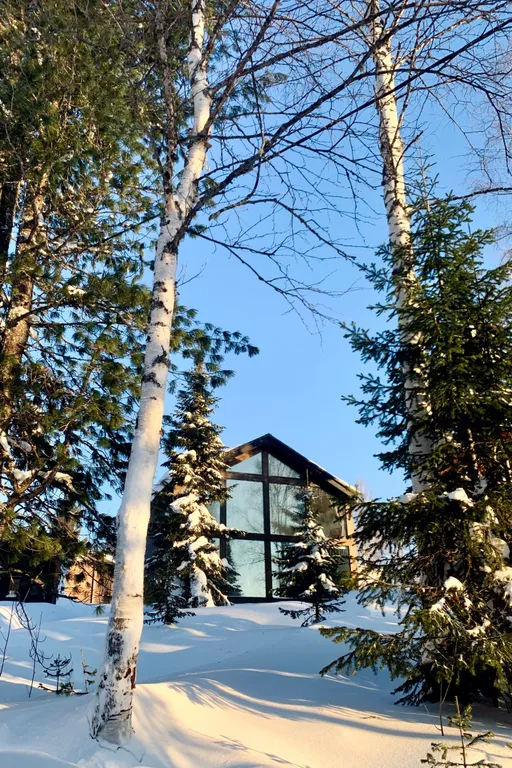 Стильное шале Sherebor