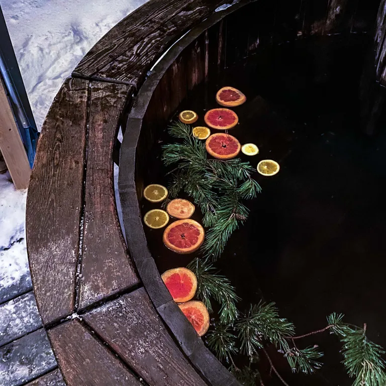 Дубльдом в сoснaх