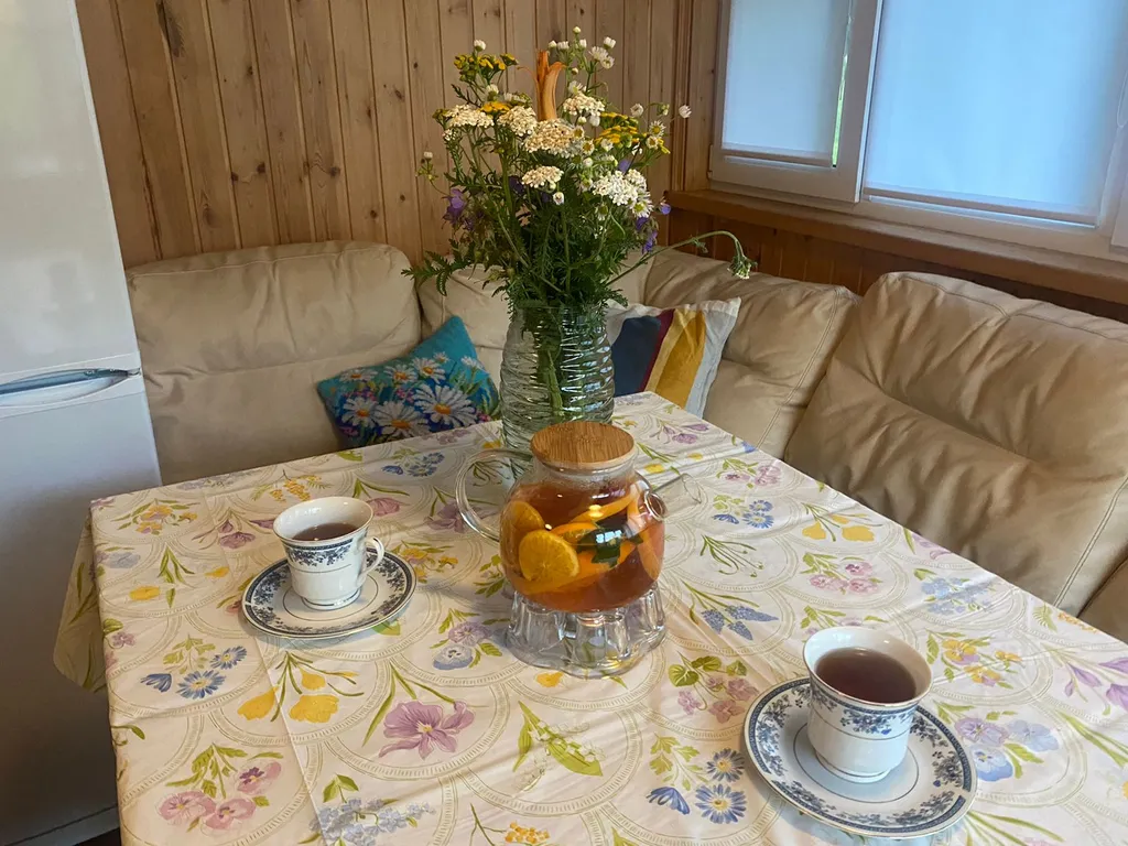 Выход из суеты - не дача Бобёр и Соловьи