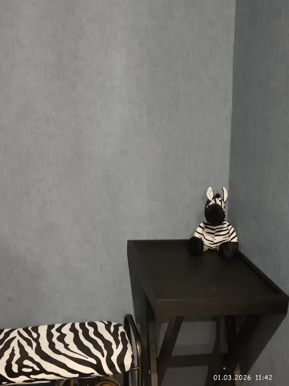 Современная квартира в самом центре города