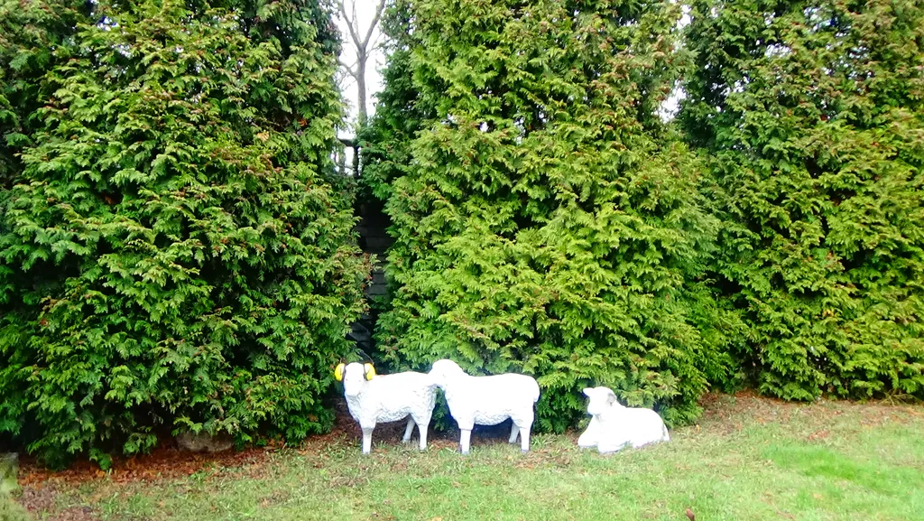 Уютный 4-комнатный гостевой домик в центре Бреста