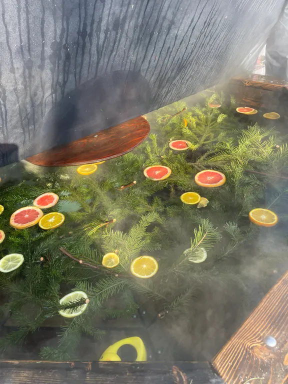 Новый дом с сибирским чаном