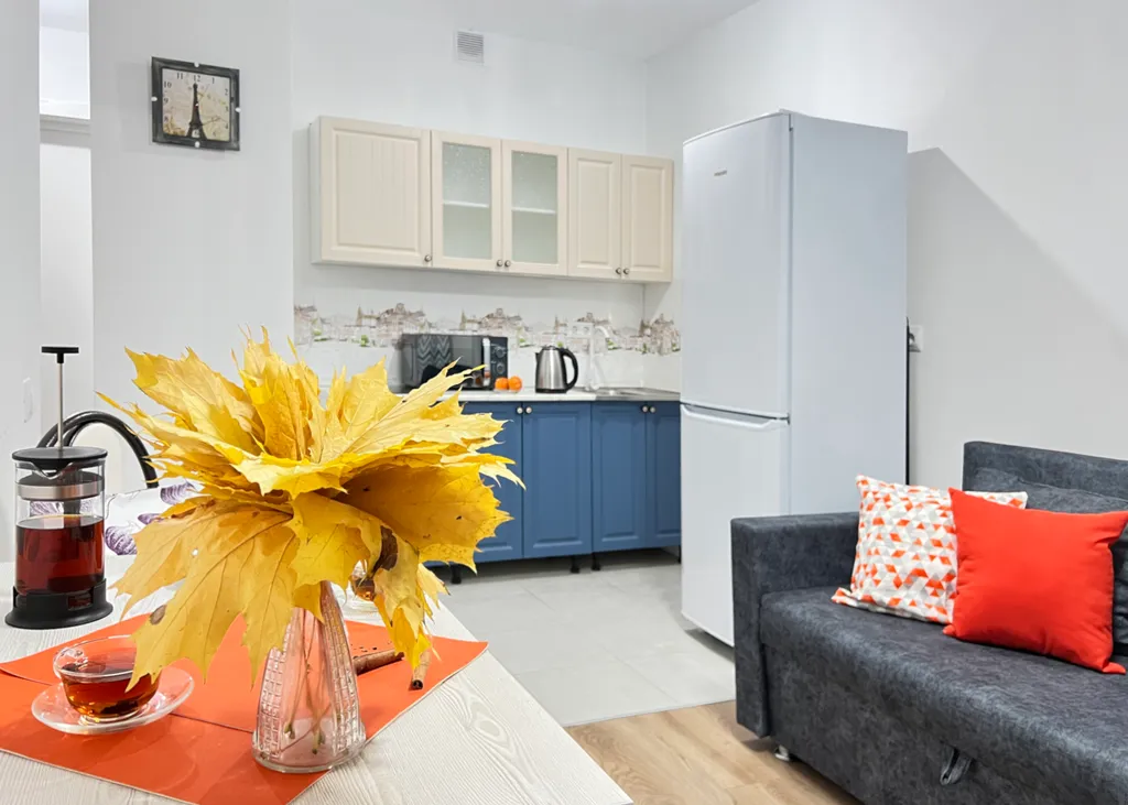 Евродвушка у медцентра им. АФ Цыба