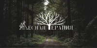 Лесная терапия