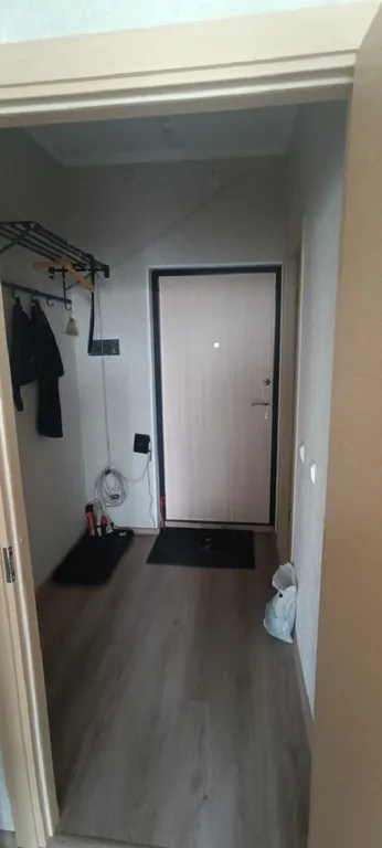 Квартира 1-комнатная Квартира — Янино-1