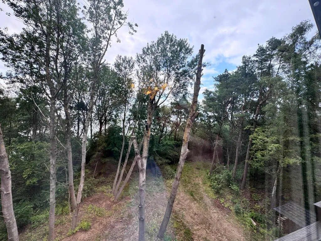 Квартира Апартаменты 10 на первой линии моря со своей зоной барбекю — Светлогорск