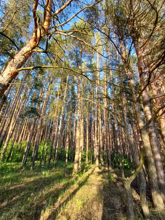 Уютный домик для отдыха