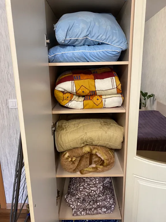 Квартира у Ледового дворца