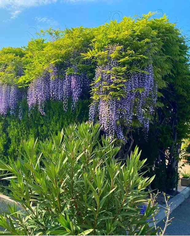 Апартаменты на первой линии Севастополь (Любимовка)