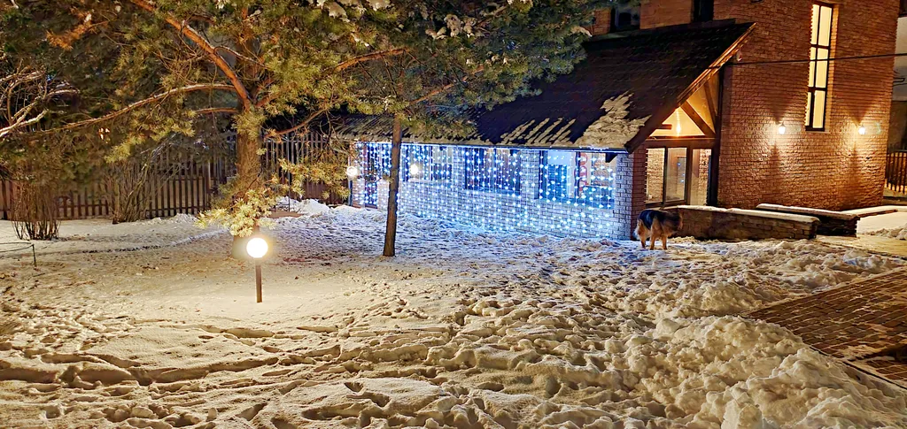 Дом Зелёный дворик