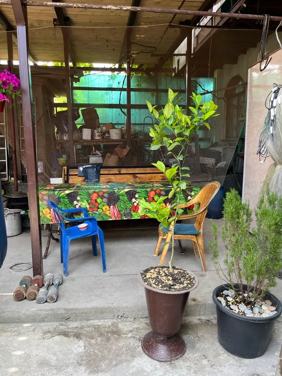 3-местный эконом у моря