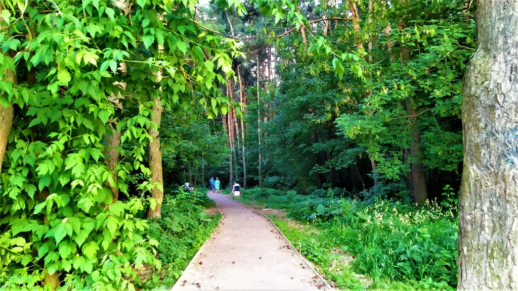 Великолепные апартаменты у озера с видом на лес