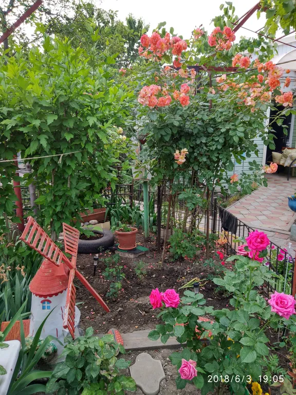 Домик у моря