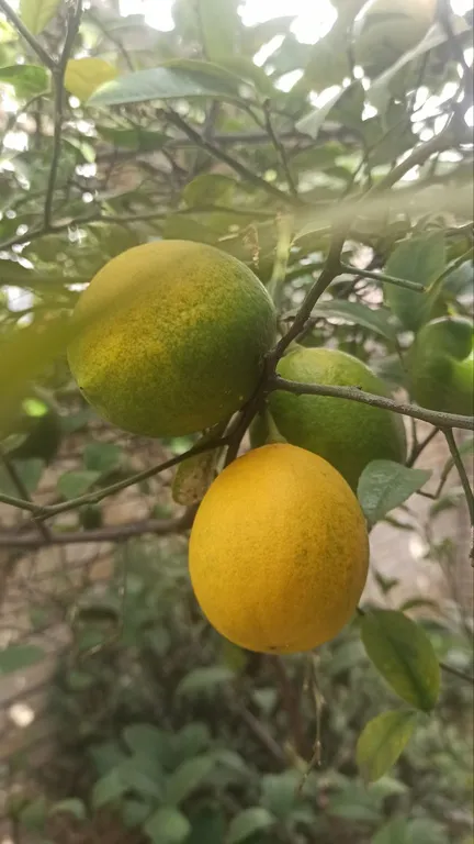 2-комнатный апартамент с кухней, ванной и всеми удобствами