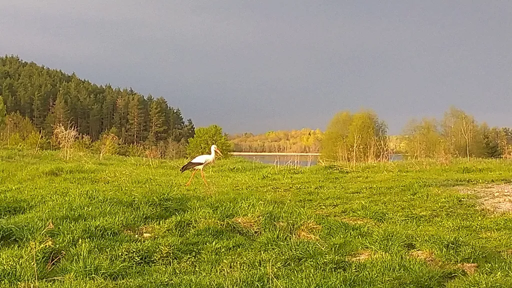 Дом усадьбы Александровские Горы на берегу озера Кривое
