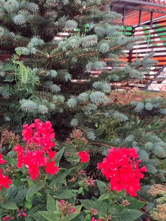 Современная квартира в центре города в новом ЖК МаксиЛайф