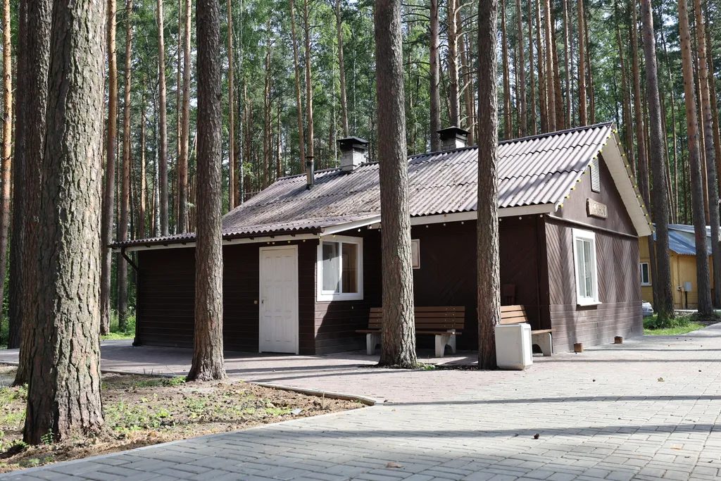 Коттедж Домик-баня Русский стиль — аренда посуточно в Заречный