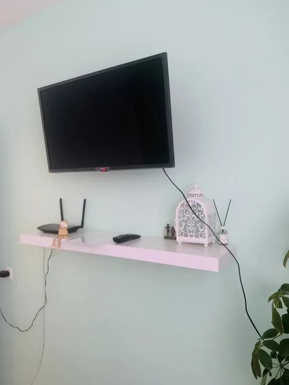 С питомцами, можно!