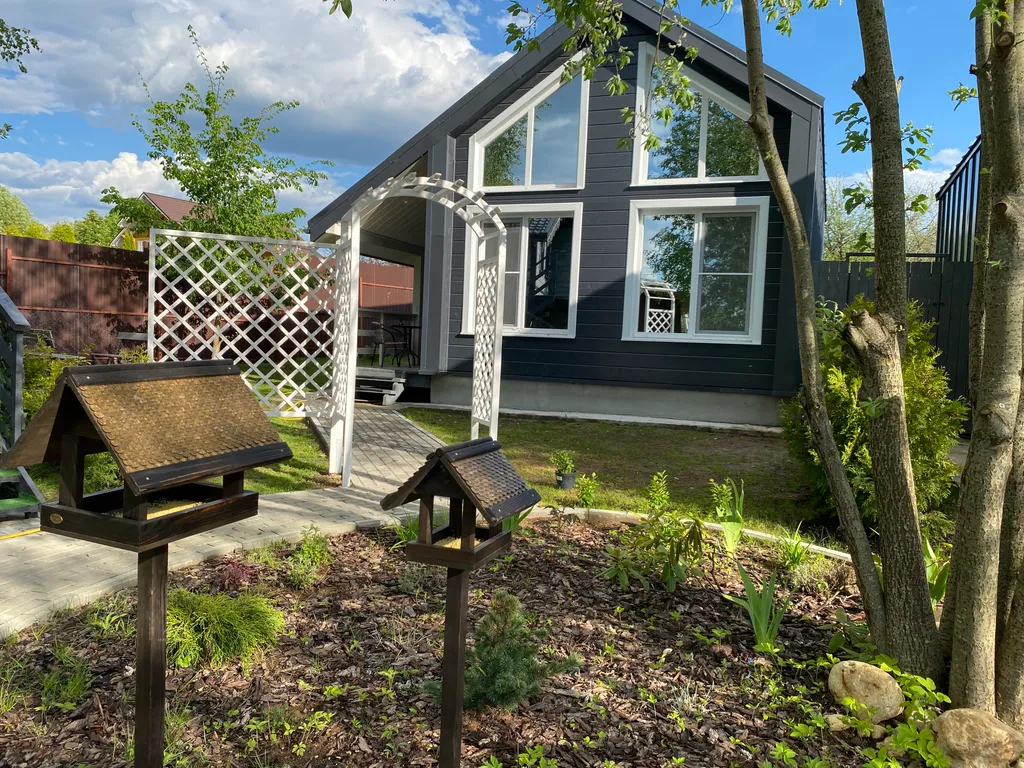 Снегири&Синички