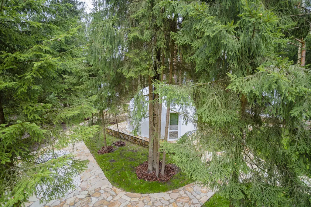 Дом для двоих в сосновом лесу