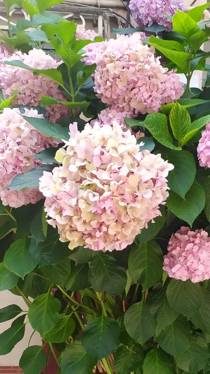 Уютная квартира у моря