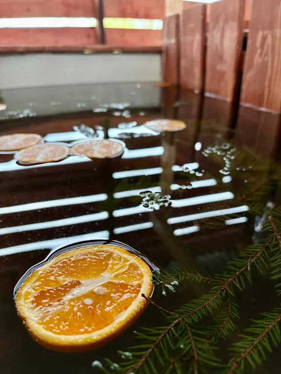 Дом с сауной