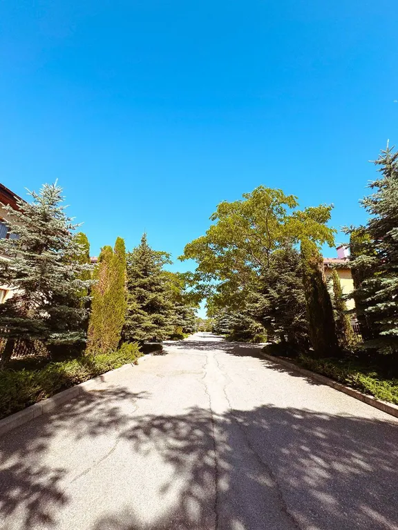 Апартаменты первая линия, Любимовка