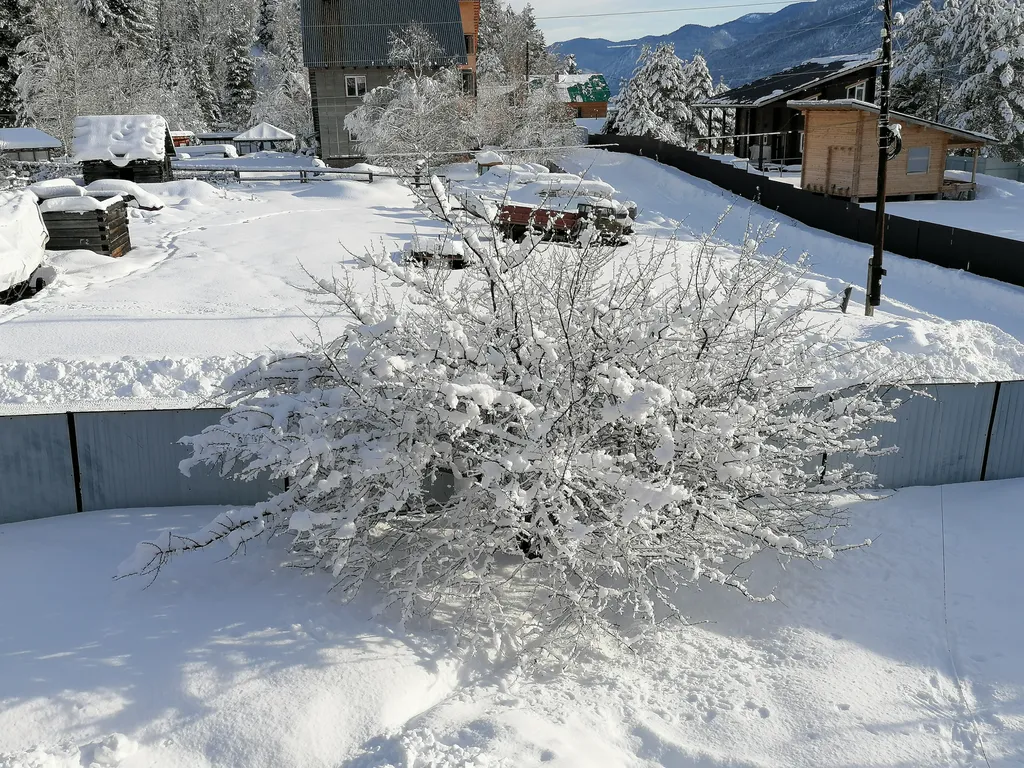 Усадьба Солнечная, лучшее место для уединения