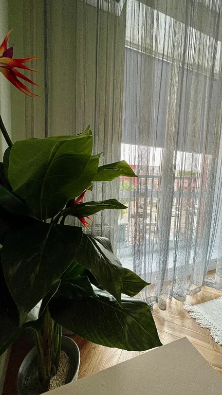 Квартира Красивая квартира в сердце Ярославля! — Ярославль