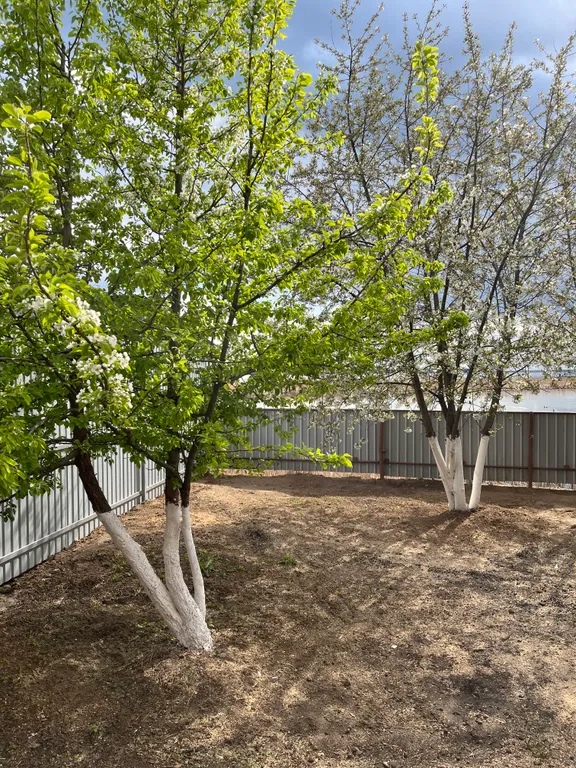 Дом с видом на Волгу на майские праздники