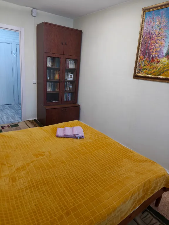 2-комнатная квартира чистая и просторная после ремонта