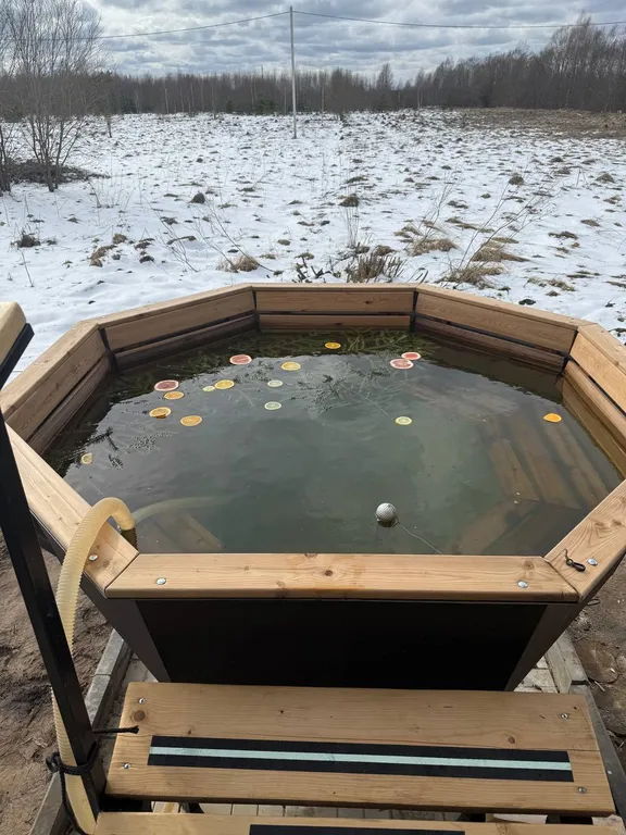 Дом с баней на дровах, банным чаном и большой гостиной