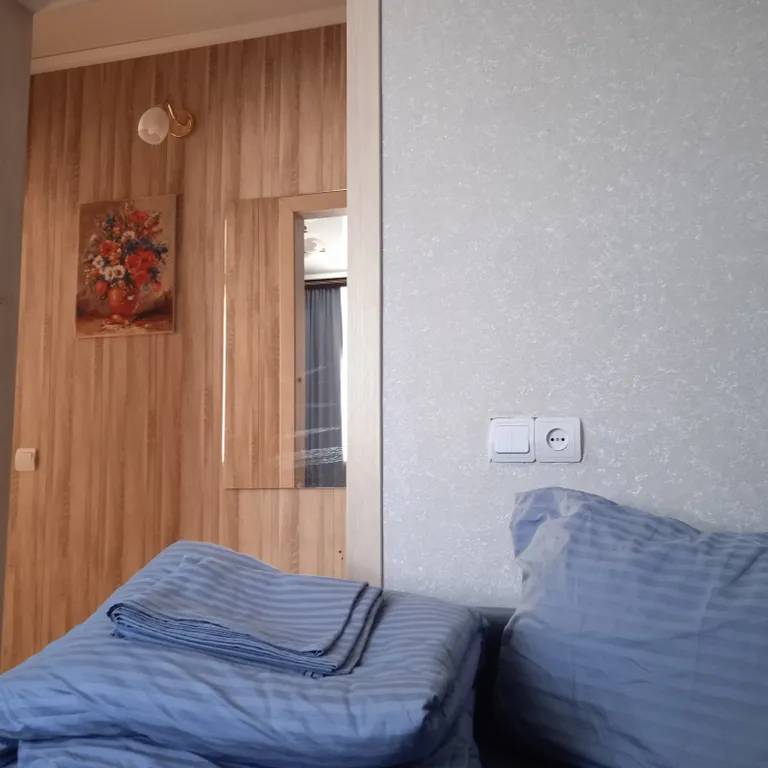 Однокомнатная квартира в центре города