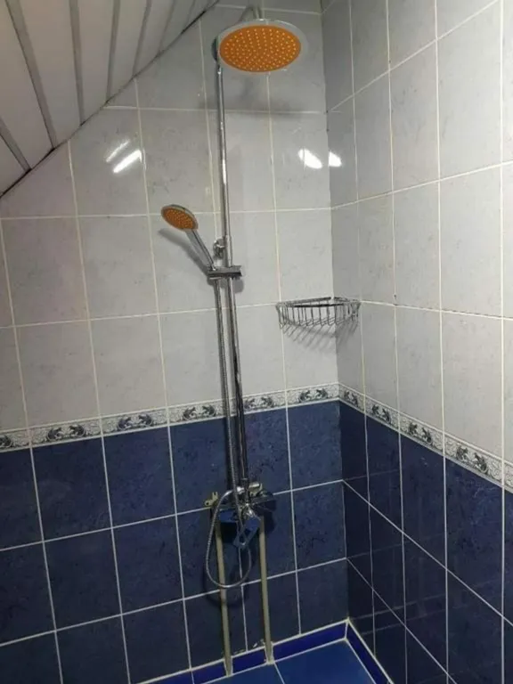 Семейная  деревянная, мансардная студия