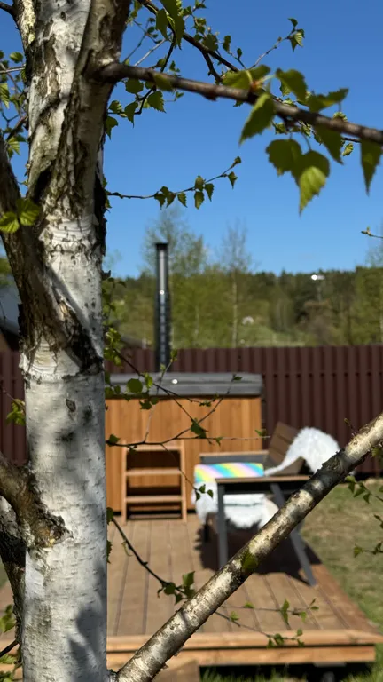 Дом с сауной и чаном