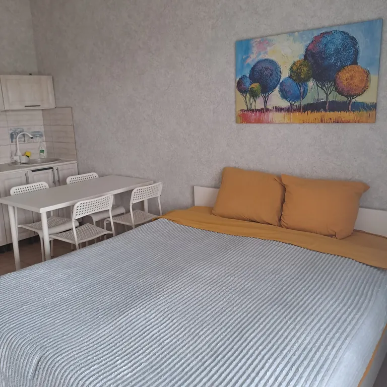 Уютная студия с видом на озеро