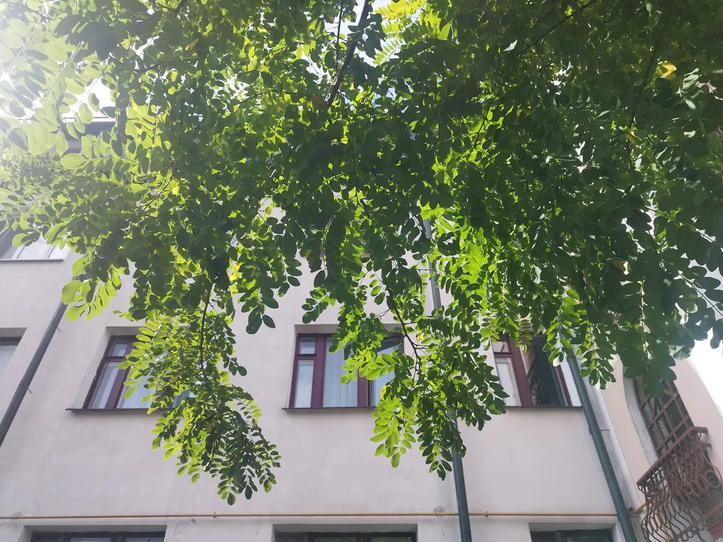 Комфортная квартира рядом с Брестской крепостью