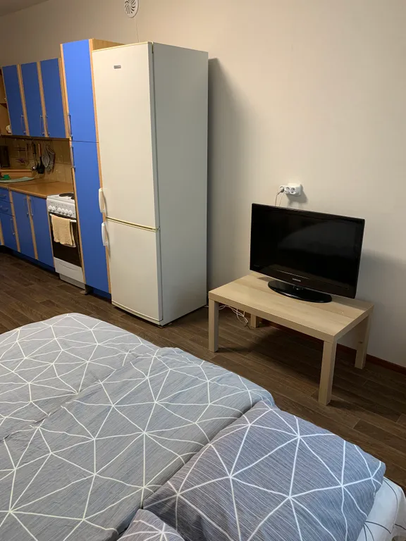 Большая однокомнатная квартира в новом доме