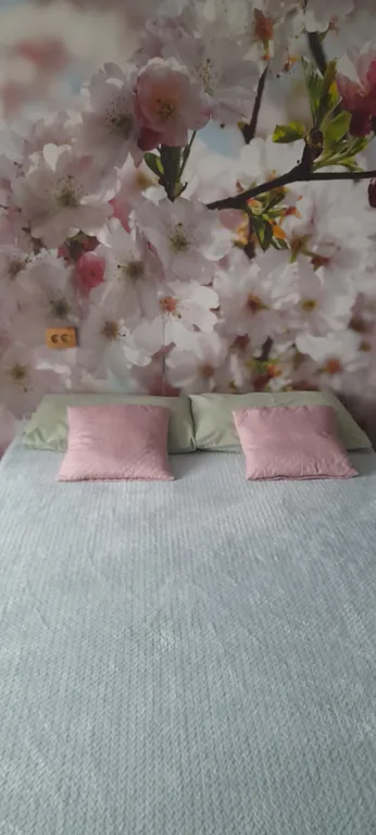 Квартира  у подножия  горы