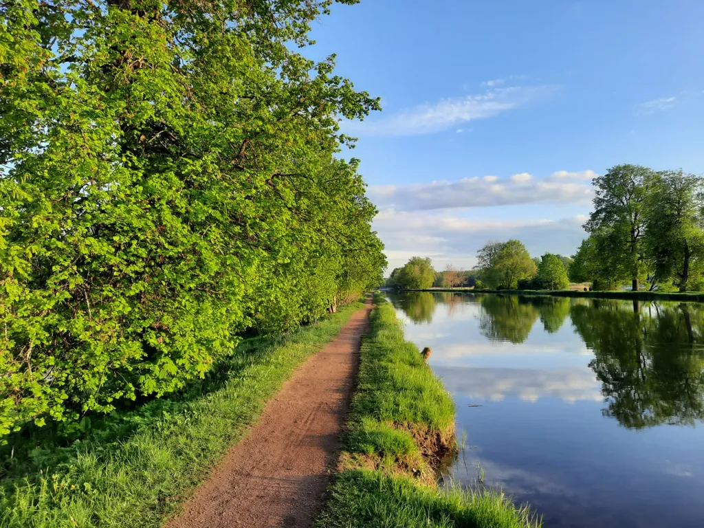 Уютный дом с дровяной баней и камином у Петергофа.
