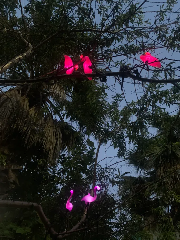 Квартира Комната — Адлер