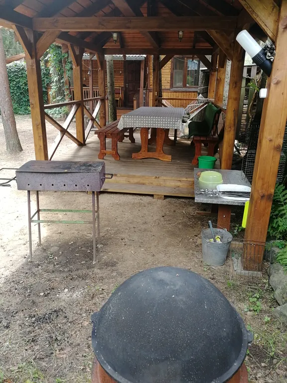 Коттедж Лана в хвойном бору на Селигере