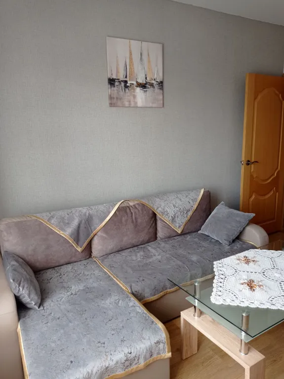 Квартира Уютная квартира — Светлогорск