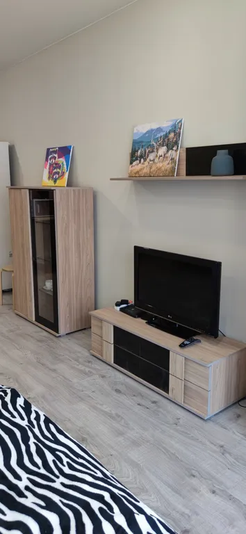 Квартира Квартира Чистая и уютная студия в микрорайоне Союз — Иркутск